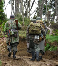 Mountain troops and FJ at a tactical